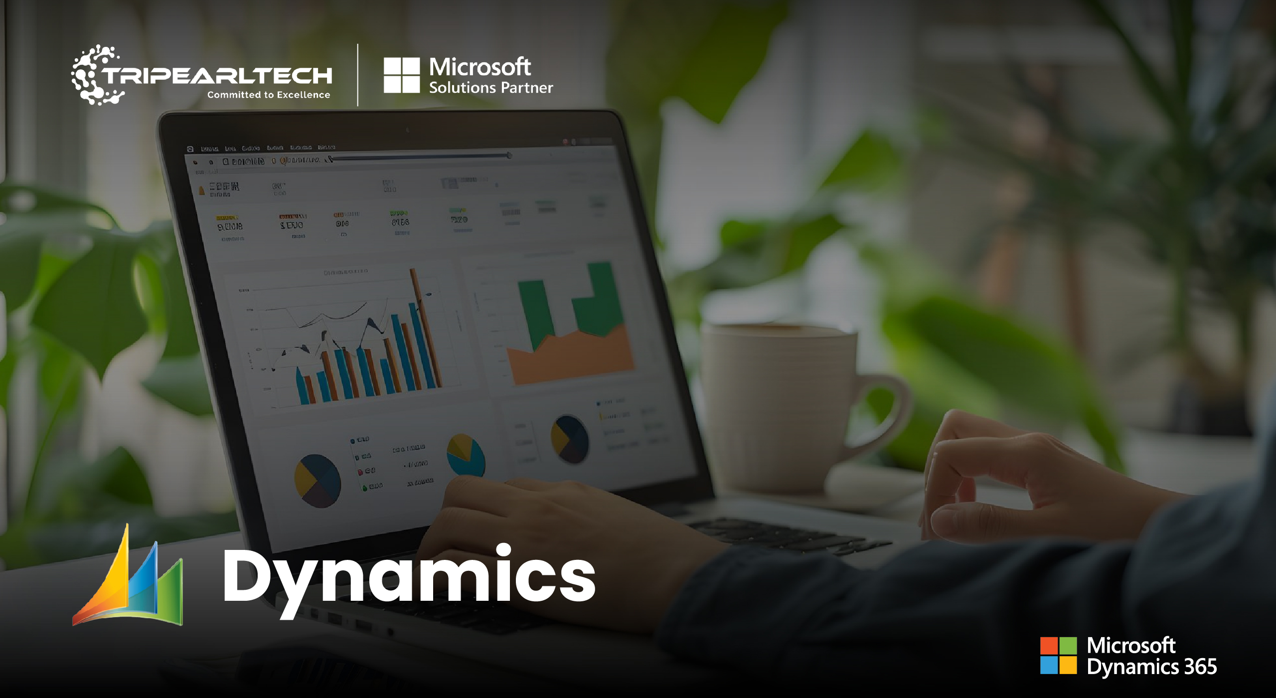 Dynamics NAV vs Dynamics 365 Business Central